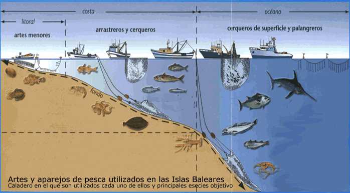 Course Image PQ4035G MATERIALES, METODOS Y ARTES DE PESCA