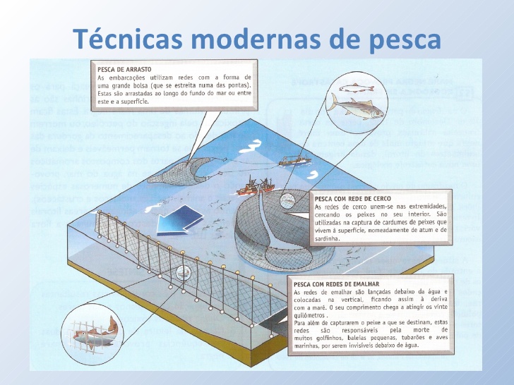 Course Image PQ4035G* MATERIALES, METODOS Y ARTES DE PESCA