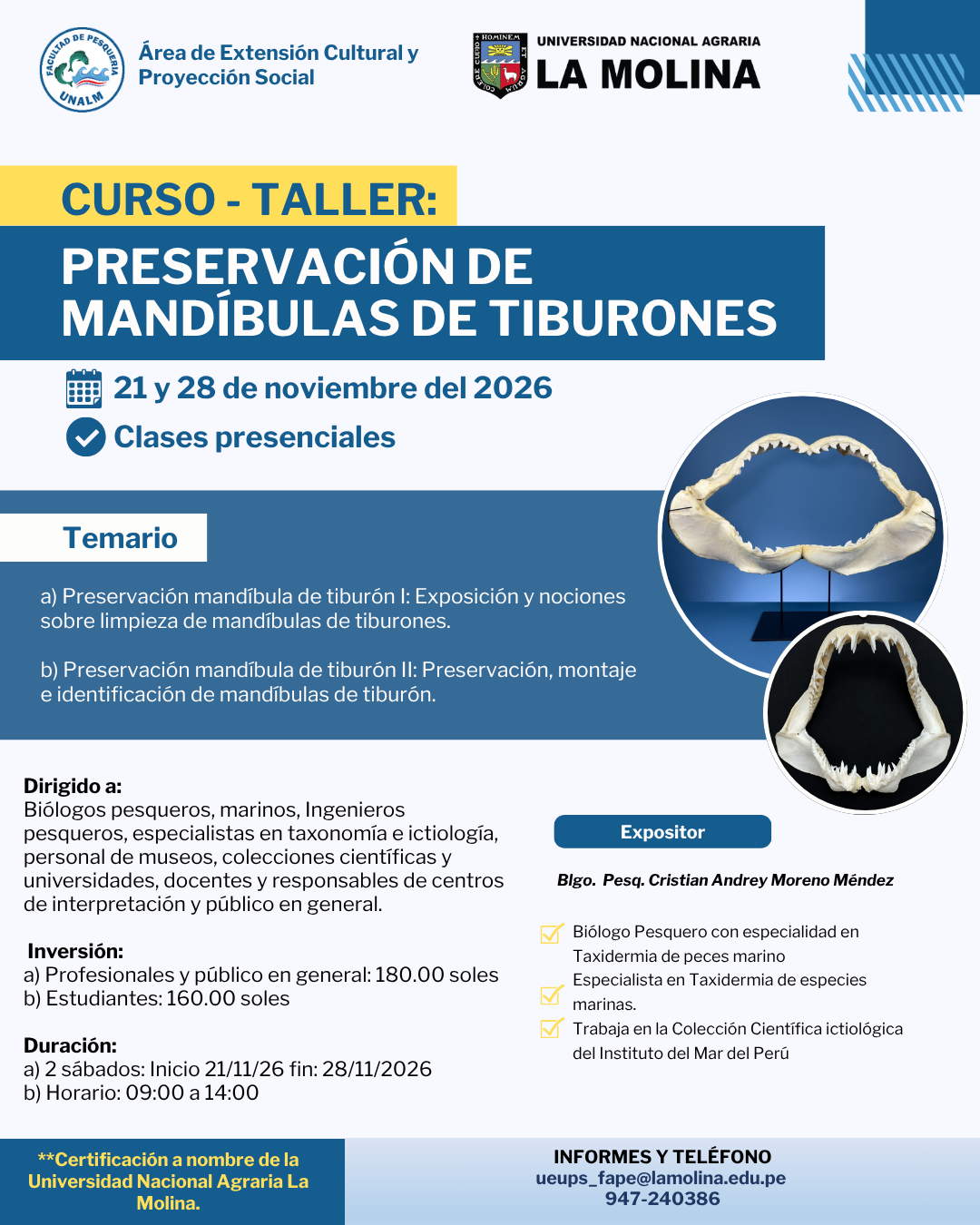 PRESERVACIÓN DE MANDÍBULAS DE TIBURONES